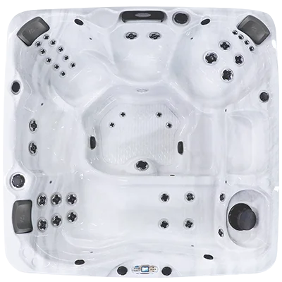 Avalon EC-840L hot tubs for sale in Pinellas Park