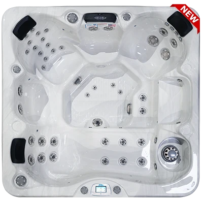 Avalon-X EC-849LX hot tubs for sale in Pinellas Park