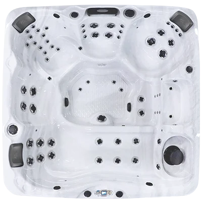 Avalon EC-867L hot tubs for sale in Pinellas Park
