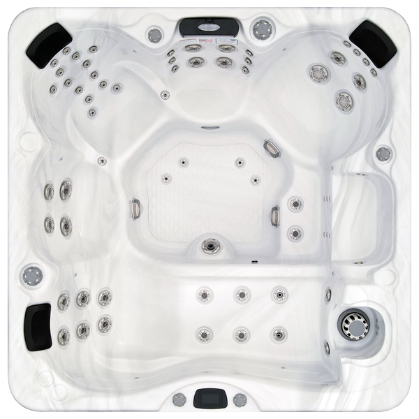 Avalon-X EC-867LX hot tubs for sale in Pinellas Park