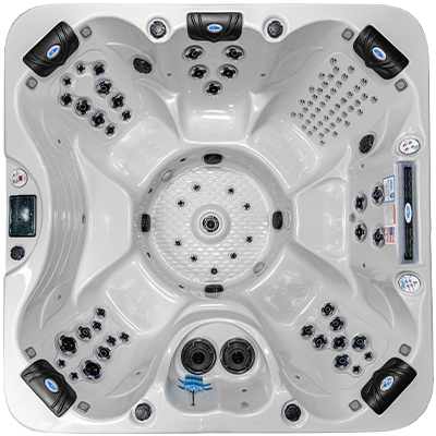 Laguna PL-793B hot tubs for sale in Pinellas Park