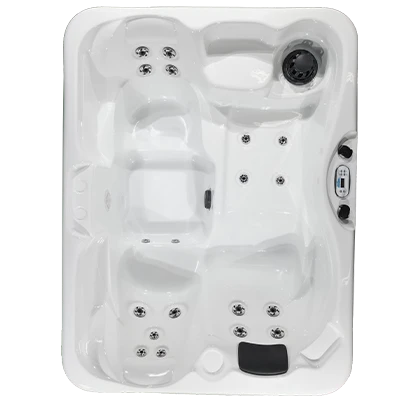 Kona PZ-519L hot tubs for sale in Pinellas Park